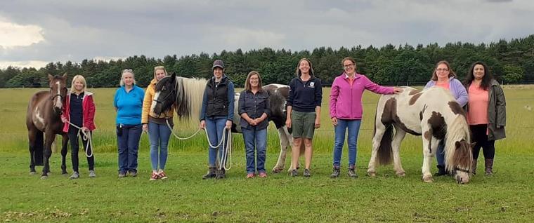 Equine assisted therapy course
